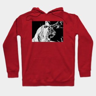 Year of the tiger 2022 Hoodie